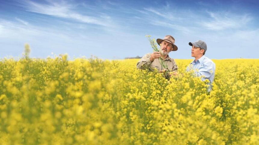 Bayer and Neste to Collaborate on Developing Feedstocks for Renewable Fuels