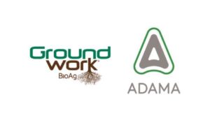 Groundwork BioAg, ADAMA Form Partnership to Offer Rootella Inoculants for Chinese Farmers