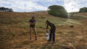 The Soil Health Institute and Yard Stick PBC Publish on Innovative Soil Carbon Measurement Technology