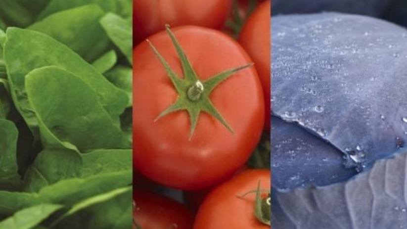 Gowan Acquires Syngenta’s FarMore Technology Vegetable Seed Treatment Platform