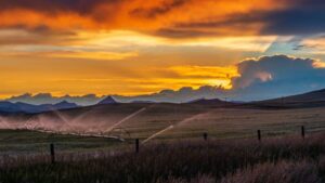 WestMET Group Acquires Humic Product Manufacturer Black Earth