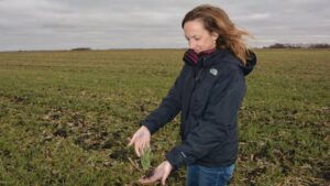 Women in Agriculture: Nancy Bohl Bormann Remains Focused on Ag Tech Research
