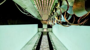 BioLumic Launches World’s First Commercial Light-Activated Seed Traits