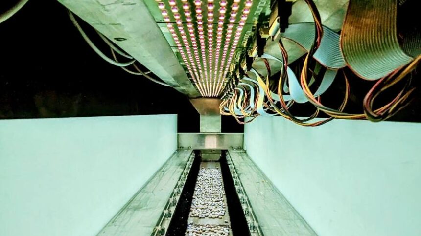 BioLumic Launches World’s First Commercial Light-Activated Seed Traits