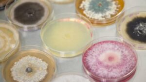 Jord BioScience Secures Series B Funding to Accelerate Microbial Solutions for Agriculture