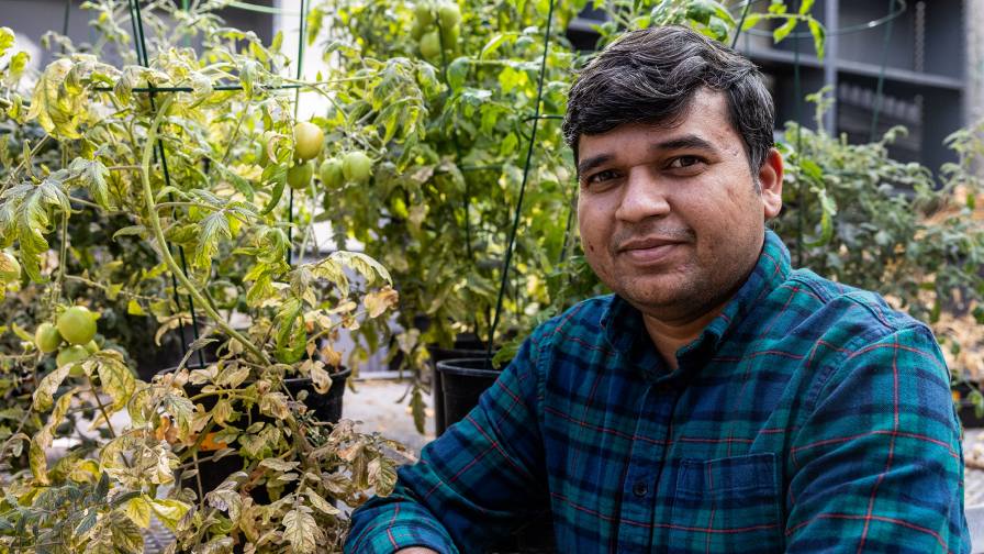 Prashant Sonawane is studying how plants defend themselves from pests