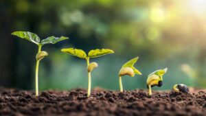 Unlocking Plant Potential: A Conversation on Micronutrients