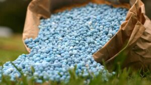 Executing an Effective Nutrient Stewardship Strategy