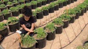 Biome Makers and Anglo American Research Demonstrates POLY4’s Unique Positive Effect on Soil Health