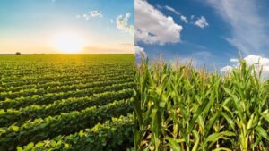 Helena Introduces New Herbicides at 2026 Commodity Classic