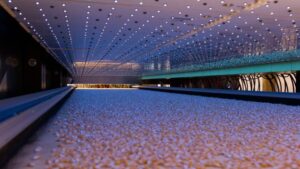 BioLumic Expands Light-Activated Seed Trait Commercialization in Corn, Rice, Soybean, and Forage
