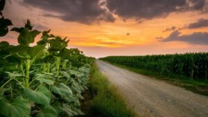 Corteva, FBN Splits Foreshadowing More in 2026?