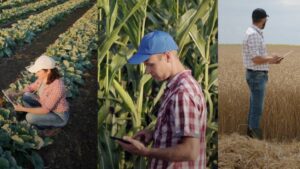 AI in Agriculture: A Threat to Jobs or a Tool for Empowerment for Retailers and Agronomists?