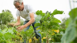 Microsoft and FFA Help Students Use Smart Sensors and AI to Learn About the Future of Farming