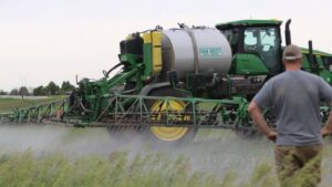 Weed Management Lessons from 2024