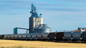 Mexico Poised to Become Top Destination for U.S. Agricultural Exports