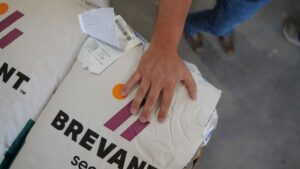 Top 8 Seed Decisions Ag Retailers Must Make This Fall