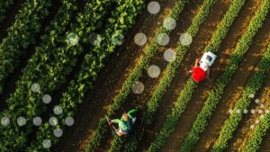 Everstream Analytics Launches First-in-Class Predictive Crop Risk Forecasting Solution