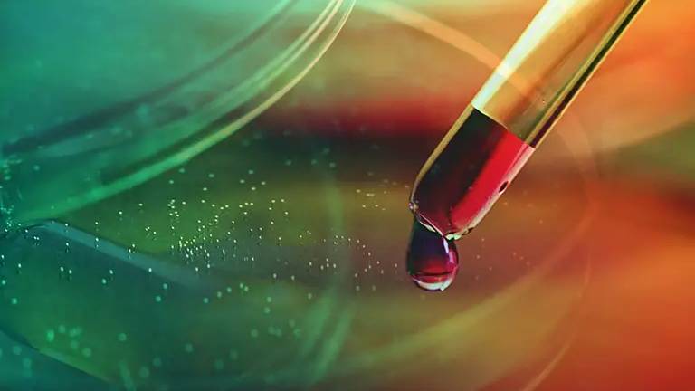 Micropep Names New CEO to Accelerate Commercial Growth