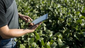 Using Data-Driven Insights for Short-Term and Long-Term Seed Decisions