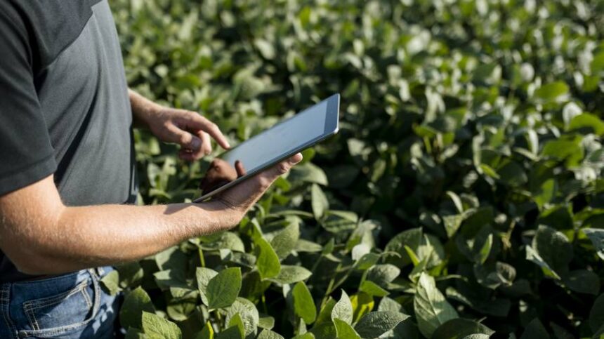 Using Data-Driven Insights for Short-Term and Long-Term Seed Decisions