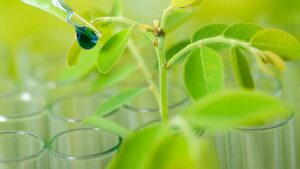 What Are the Investment Expectations for the Biologicals Market?