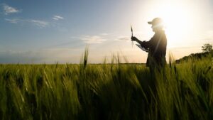 Growers Edge: Helping Agriculture Embrace Innovation by Reducing Risk