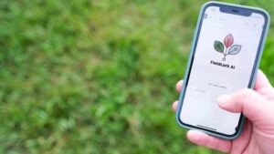 Advancing Eco Agriculture Launches First AI Chatbot for Regenerative Agronomy