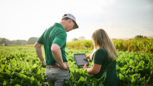 Peace of Mind Has ROI: Why It Pays to Show Up When Fields Look Good