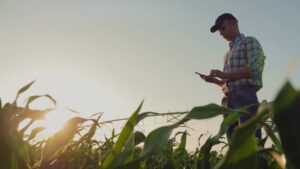Fintech Flourishes on the Farm