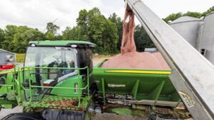 The Future of Micronutrients in Agriculture: A Manufacturer’s Take