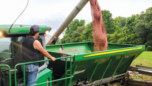 Developing Smarter Crop Nutrition