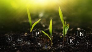 Micronutrients Take Center Stage: Tech, AI, and ROI Drive Market Shift in 2025