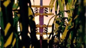PowerPollen Unveils Autonomous, AI-Powered Ground Fleet for Commercial Corn Production