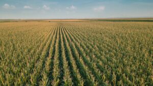 Emergent Connext and UnCommon Farms Form Strategic Partnership to Expand Connectivity and IoT Solutions for Farmers