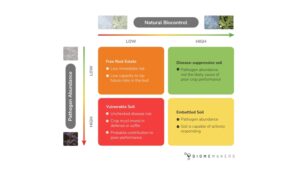 When Fertility Isn’t the Problem: Using DNA to Diagnose Soil Issues