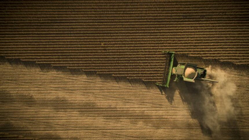 Managing Disease, Moisture and Yield Risks When Harvesting Soybeans