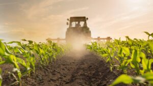 Consolidation Nation: 25 Years of Mega Mergers in Crop Protection and Seeds