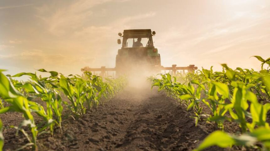 A Supreme Day, But More Challenges Ahead: Glyphosate Ruling Marks Win, Not the End