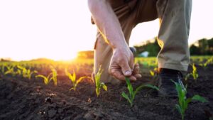 HGS BioScience Acquires NutriAg Ltd.