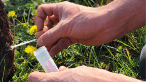 The Fifth R: Why Soil Biology Is the Missing Link in Nutrient Management