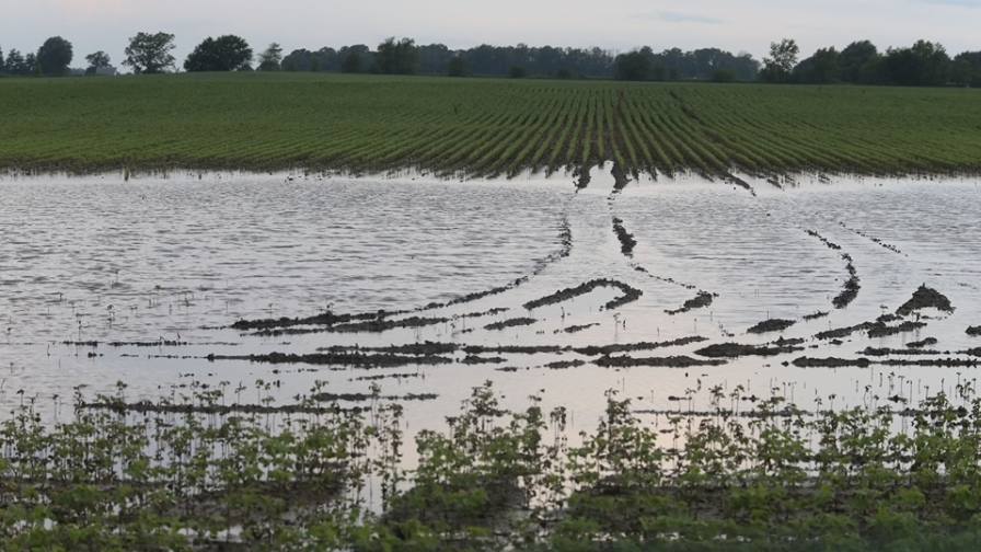 The Ag Climate Dashboard offers tools to help monitor extreme weather events in addition to crop growth, pest threats and climate anomalies. (Purdue Agricultural Communications)