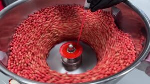 Fungicide Seed Treatments: Building a Strong Offense Against Early-Season Disease