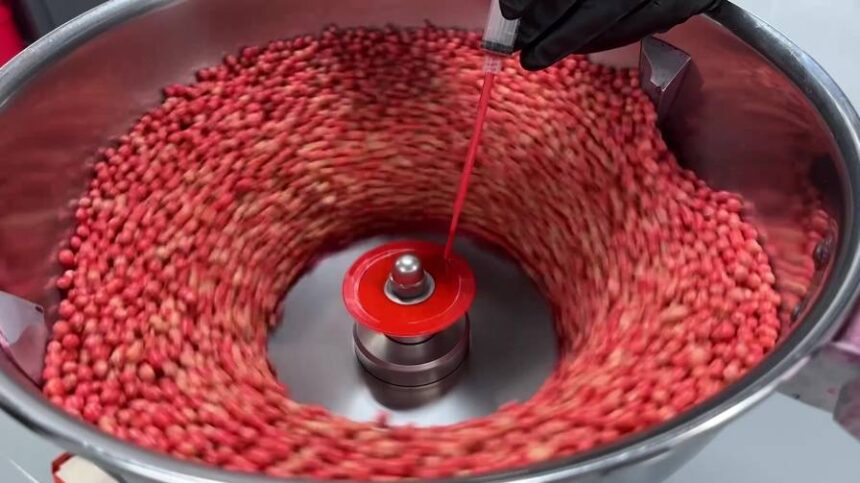 Fungicide Seed Treatments: Building a Strong Offense Against Early-Season Disease