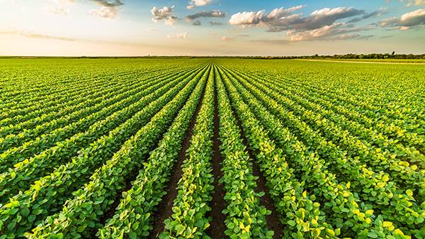 TFI Releases Sustainability Report Showcasing Industry Progress