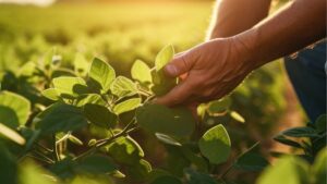 Seed Technology Advances Create Fresh Growth Opportunities for Retailers
