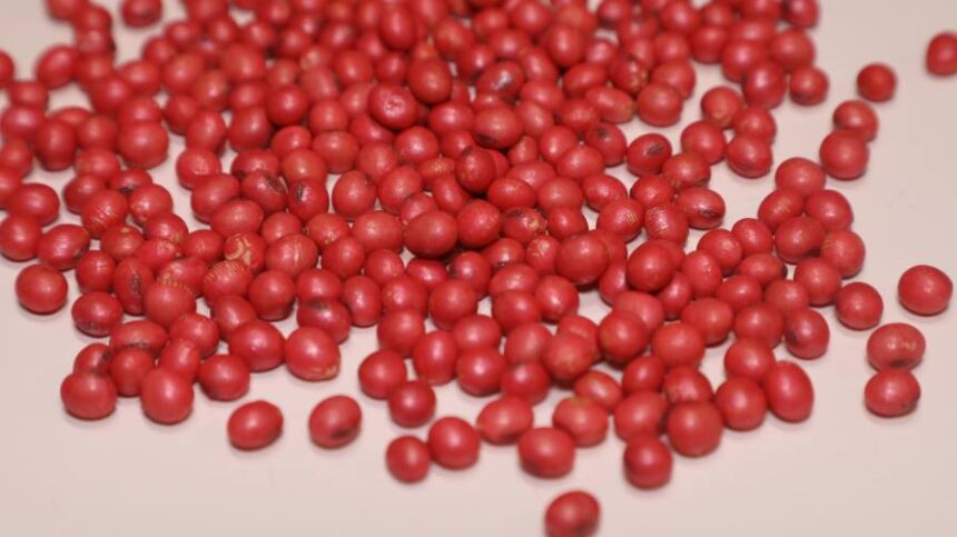Insecticide Seed Treatments: Advancing Early-Season Pest Management