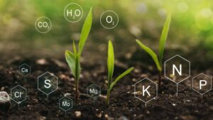 From the Ground Up: Why Soil Health — and the Innovations That Support It — Matter More Than Ever