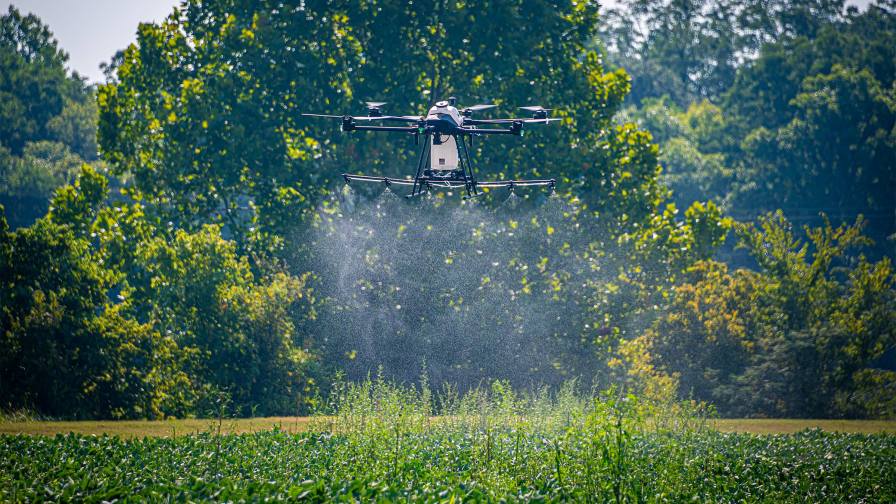 MSU researchers demonstrate unmanned aircraft systems with spray capabilities during a recent agronomy field day. (Photo by David Ammon)
