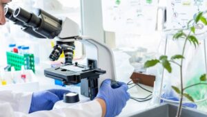 AI and Micropeptides: The Next Frontier in Biological Crop Protection